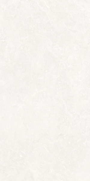  Анголенс белый двойная цифровая печать 60x120 (1,44) 