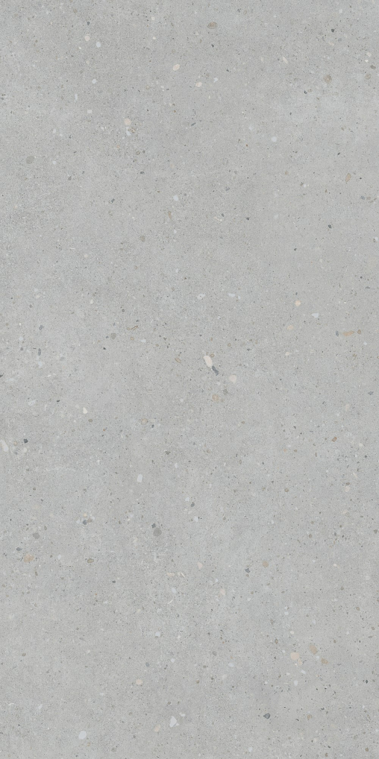   FlakeCement Серый МатR10A 60x120