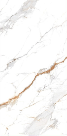  Дели полированный золотой карвинг 60x120 (1,44) 