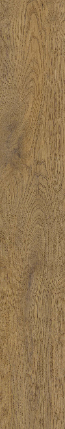   SGR51 Velaris Honey 9,2x60 (0,6)