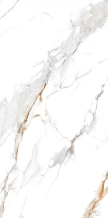  Дели полированный золотой карвинг 60x120 (1,44) 