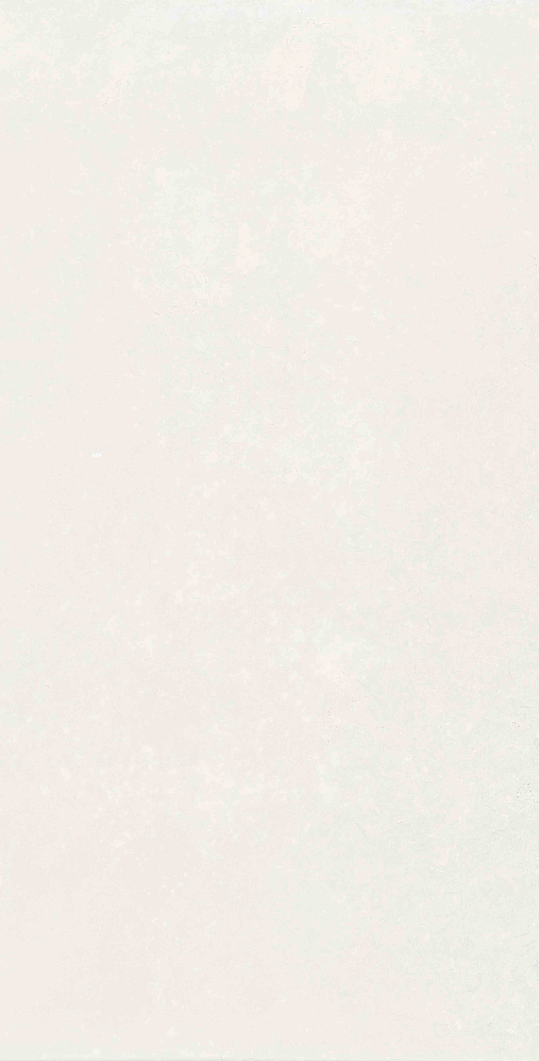 Плитка Mon Hazy Garden 30х60