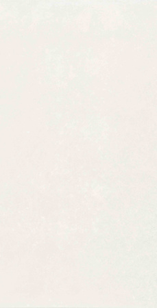 Плитка Mon Hazy Garden 30х60 