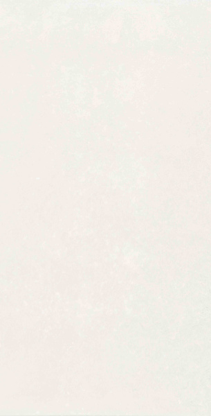 Плитка Mon Hazy Garden 30х60 