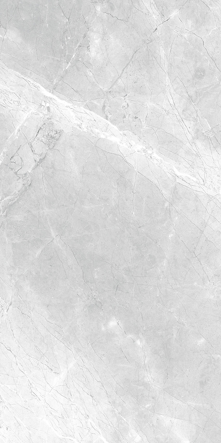  Asti Grey carving 60x120