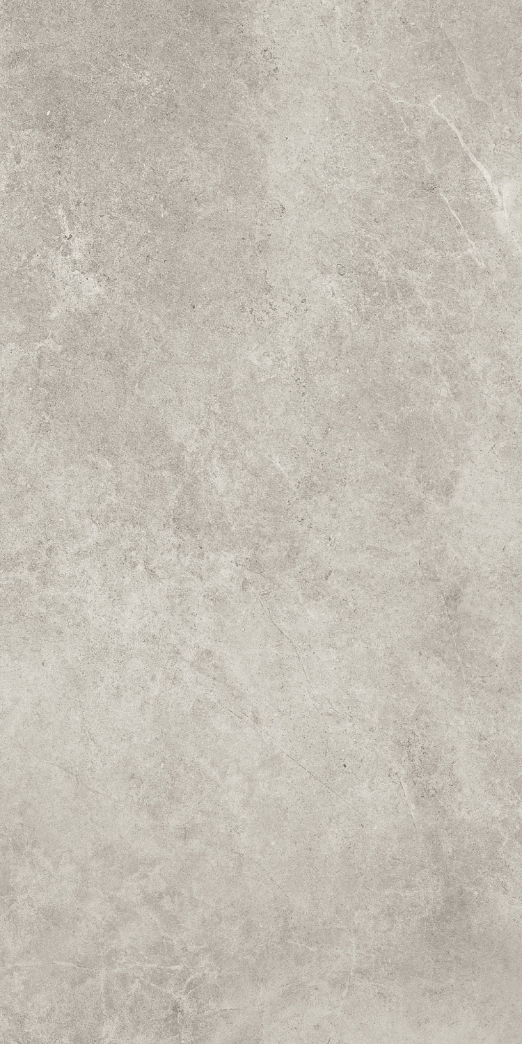  Tacoma Silver 119,7x59,7