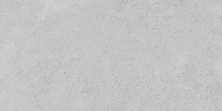   StoneS Боргония Клауд Серый 60x120 (1,44) 