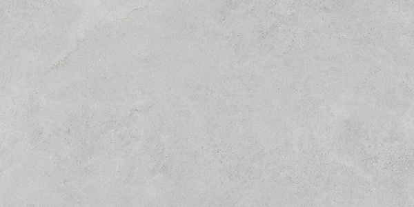   StoneS Боргония Клауд Серый 60x120 (1,44) 