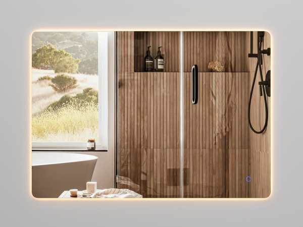 Зеркало с подсветкой LED ZOV 201 100x70 