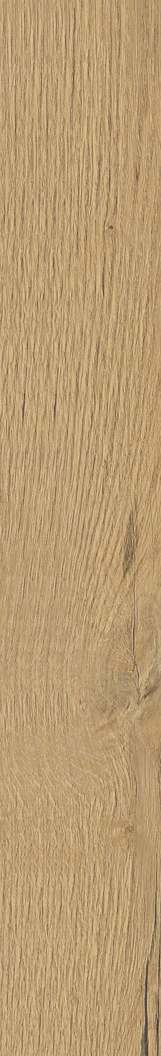   SGR29 Aurevia Gold 9,2x60 (0,6)