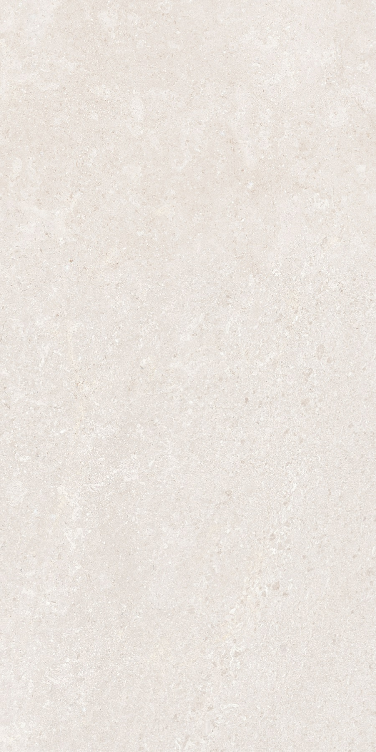   SandStone Белый МатR10A 60x120 (1,44)