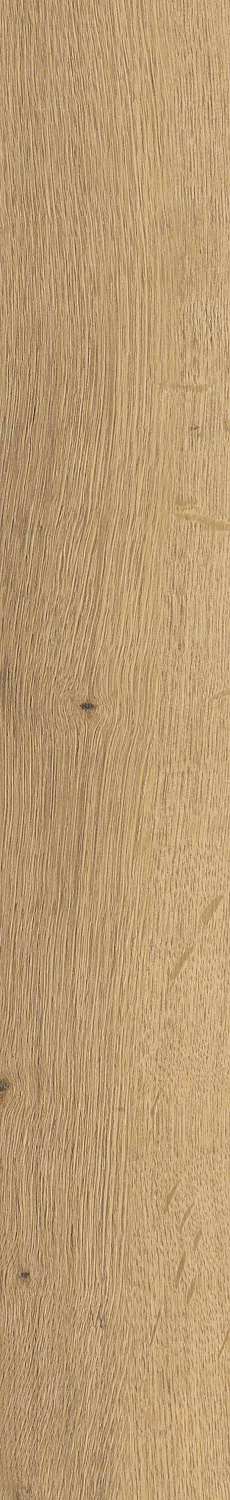   SGR29 Aurevia Gold 9,2x60 (0,6)