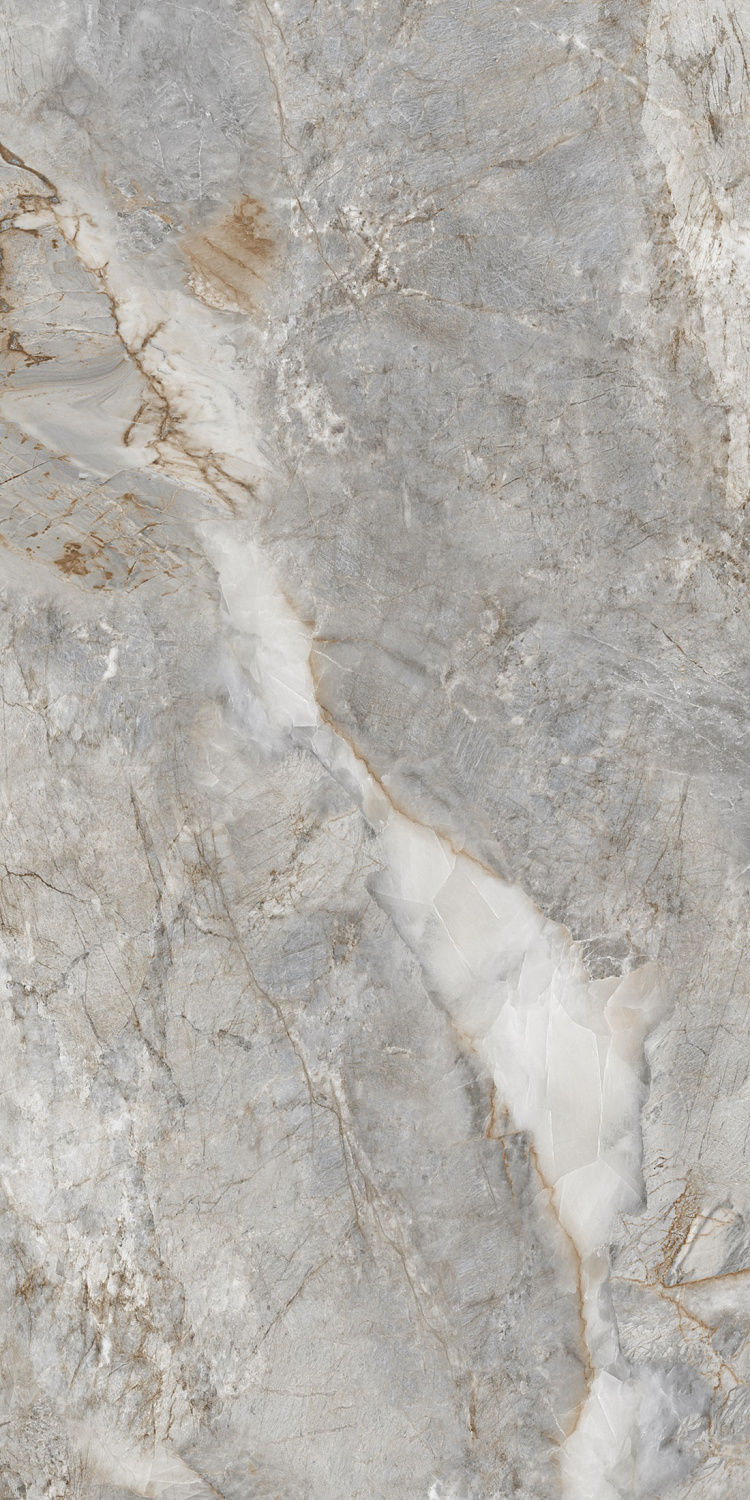  Onista Grey Polished 60x120 (1,44)