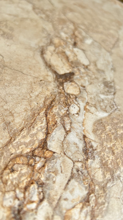  Amazon Beige Shapetouch 60х120 (1,44) 