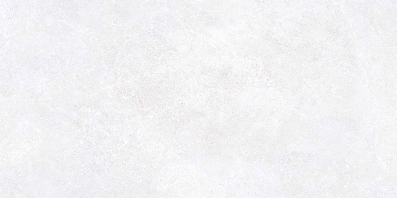   Эмперадор Белый МатR10A 60x120 (1,44)