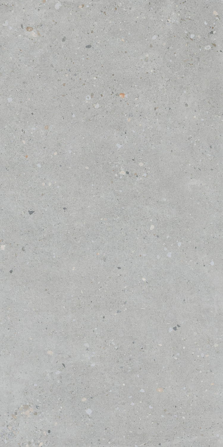   FlakeCement Серый МатR10A 60x120