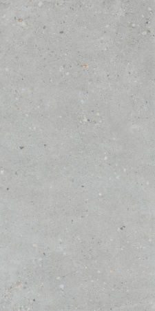   FlakeCement Серый МатR10A 60x120 