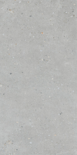   FlakeCement Серый МатR10A 60x120 