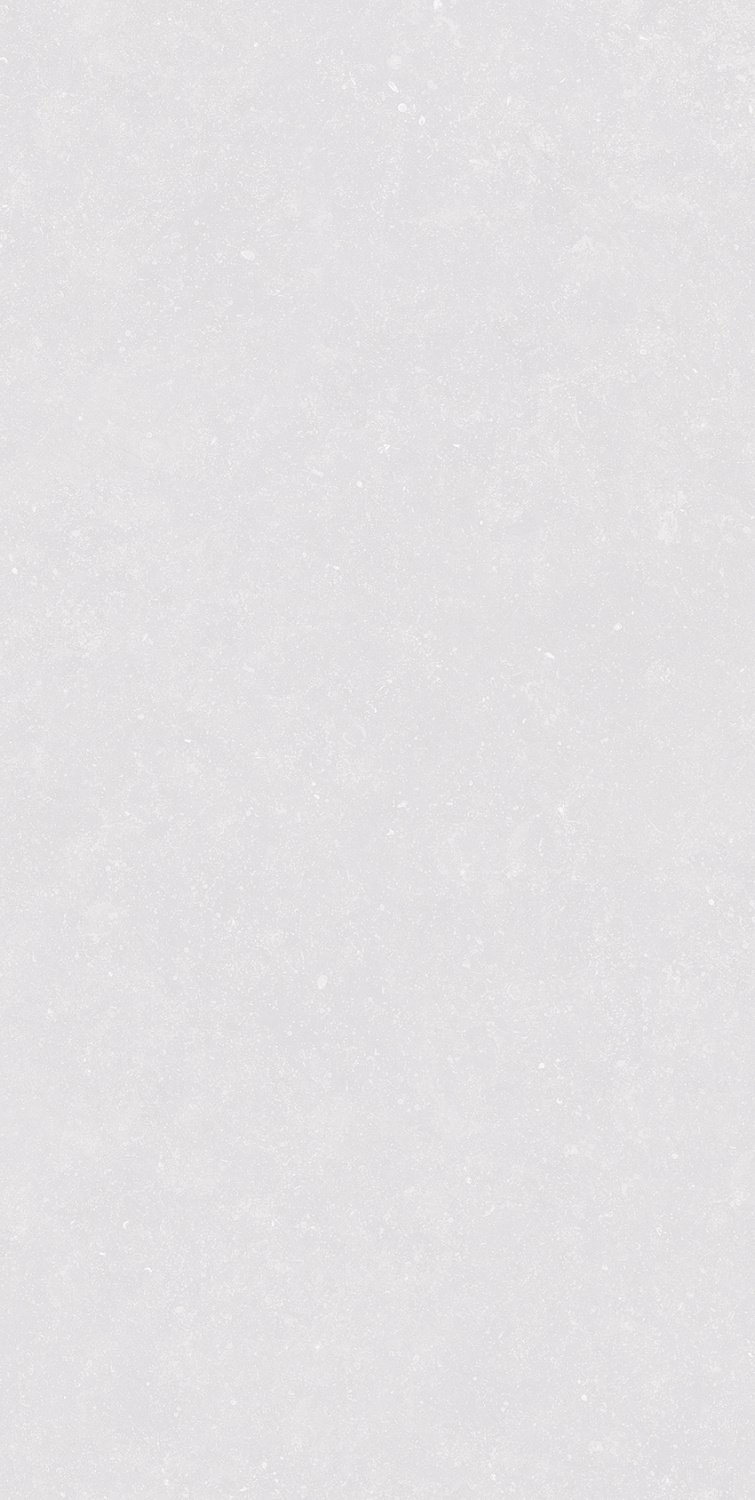  Pierre Bianco Greezo R11 60x120