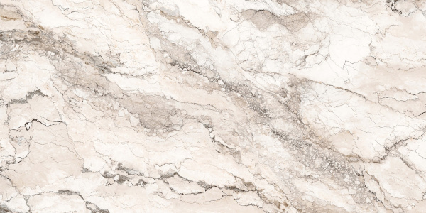  Rock Penguin White Carving 80x160 (2,56) 