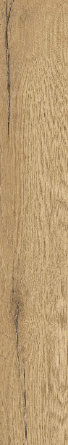   SGR29 Aurevia Gold 9,2x60 (0,6)