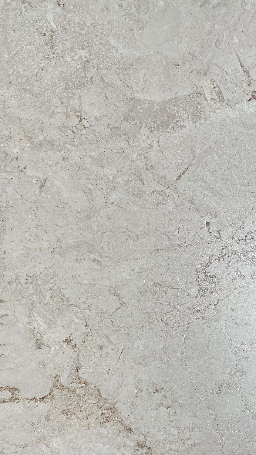  Infinity Venon Bone Endless Carving 80x160 (2,56)