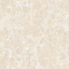 Imperatore Beige Polished 60x60 
