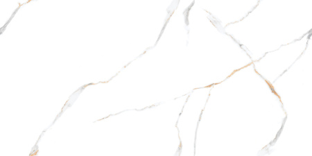  Storneto Statuario 17 Punch 60x120 