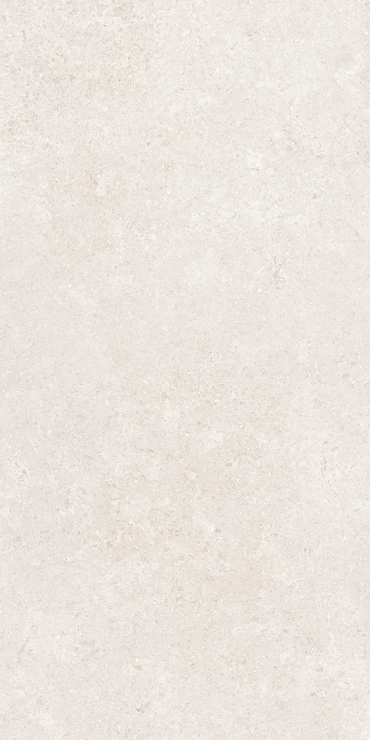   SandStone Белый МатR10A 60x120 (1,44)