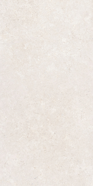  SandStone Белый МатR10A 60x120 (1,44) 