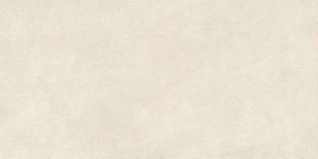   SandBark Слоновая Кость МатR10B 60x120 (1,44) 