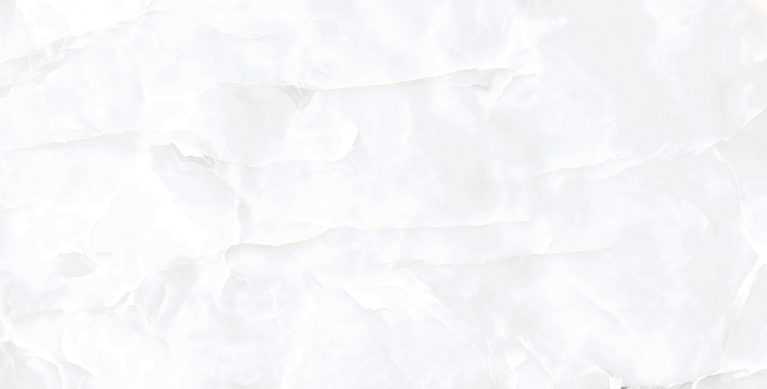  Coin White Glossy 60x120