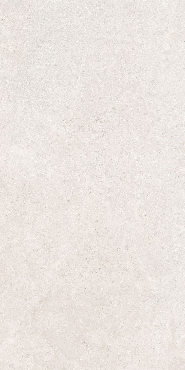  SandStone Белый МатR10A 60x120 (1,44)