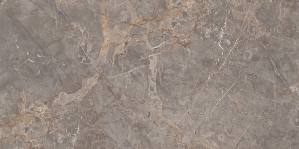  Miltonia Grey 60x120 