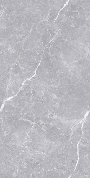  Luanda Polished Silver Carving 60x120 (1,44) 