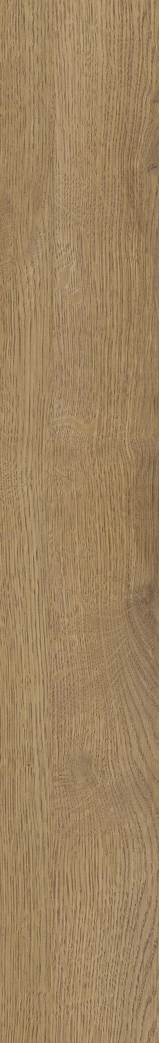   SGR51 Velaris Honey 9,2x60 (0,6)