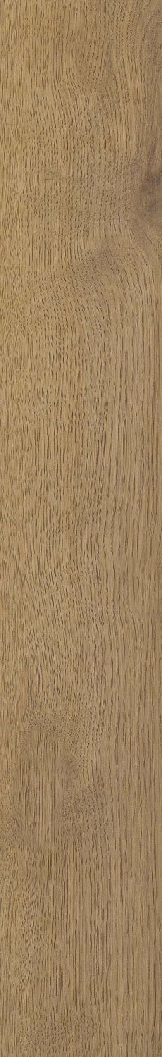   SGR51 Velaris Honey 9,2x60 (0,6)