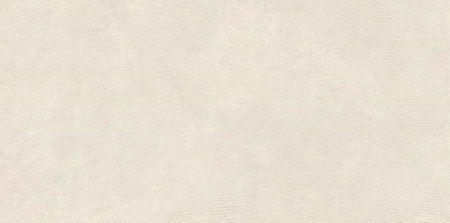   SandBark Слоновая Кость МатR10B 60x120 (1,44) 