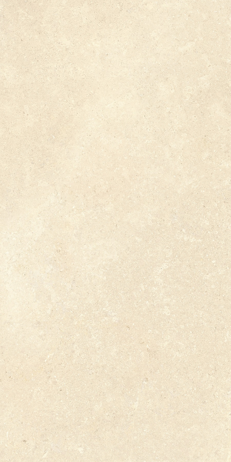   SandStone Песочный МатR10A 60x120 (1,44)