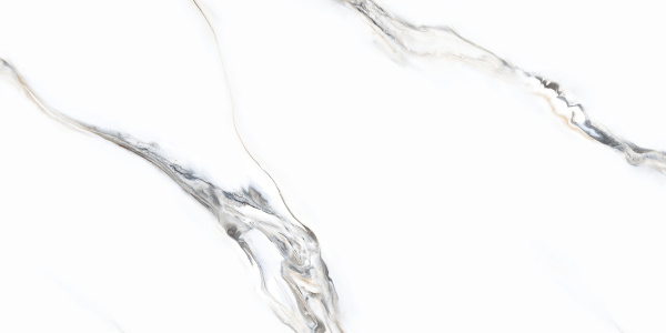  Indio Statuario 60x120 