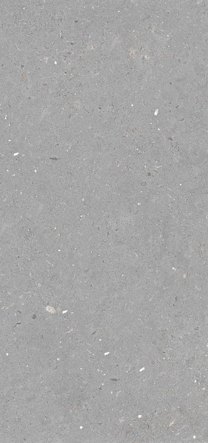 Керамогранит Stx Fossil Grey 3pc 59,8х119,8