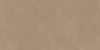  Lucent Brown Matt 60x120