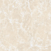  Imperatore Beige Polished 60x60 