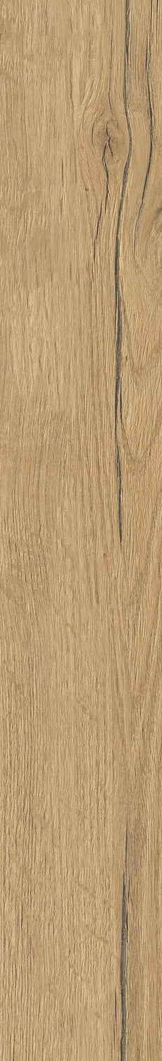   SGR29 Aurevia Gold 9,2x60 (0,6)