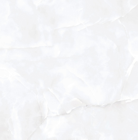  Coin White Glossy 60x60 