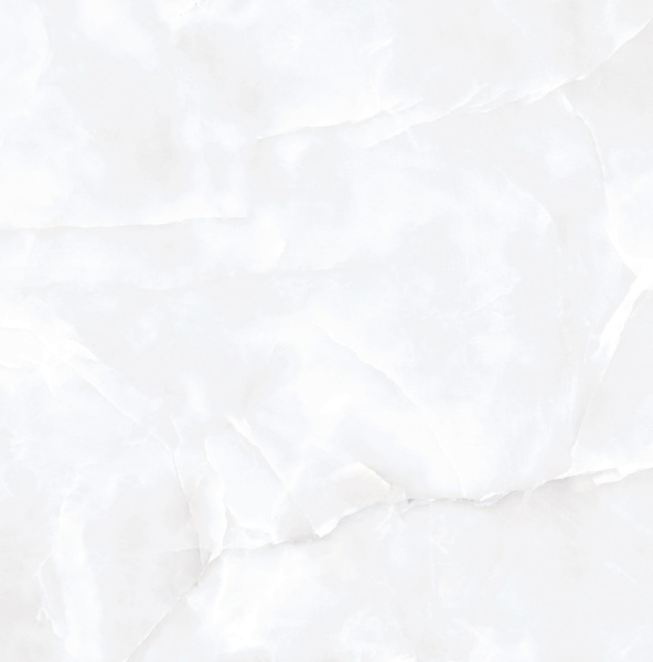  Coin White Glossy 60x60 