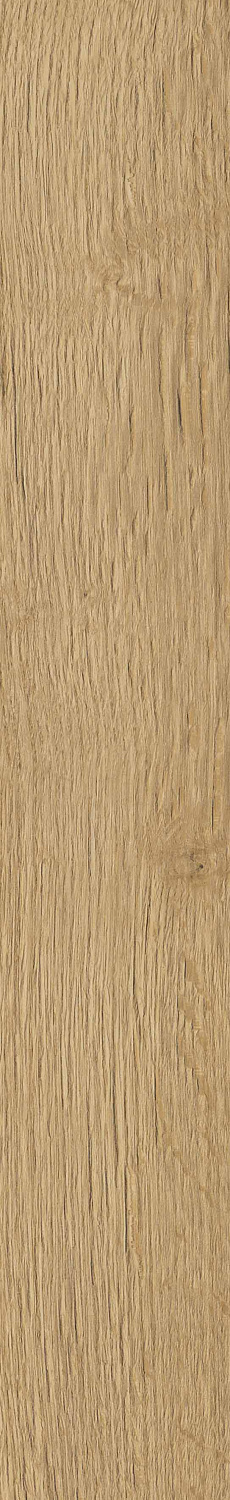   SGR29 Aurevia Gold 9,2x60 (0,6)