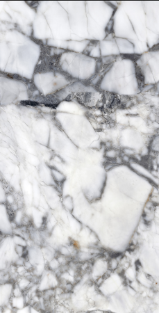  Канберра полированный золотой карвинг 60x120 (1,44) 