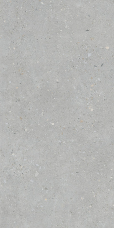   FlakeCement Серый МатR10A 60x120 