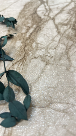  Perlato Ivory Endless Marvel 60x120 (1,44) 